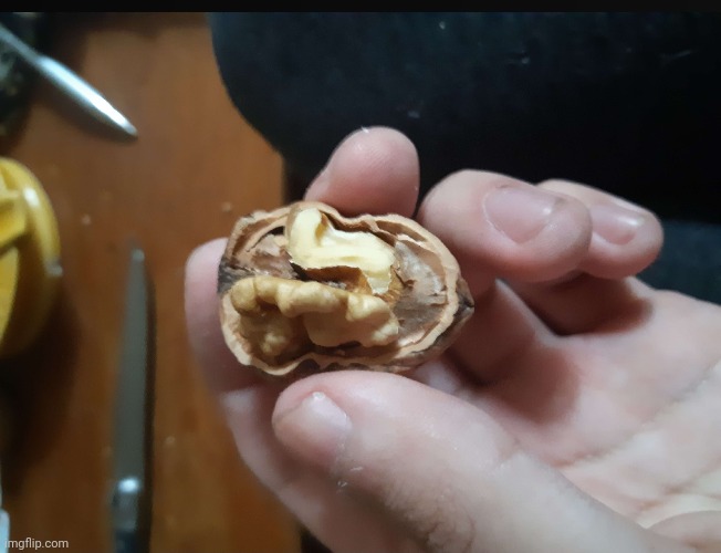 Nut (no utility there) | made w/ Imgflip meme maker