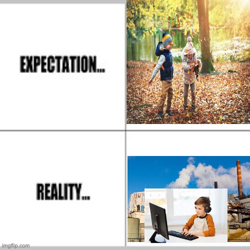 f | image tagged in expectation vs reality | made w/ Imgflip meme maker