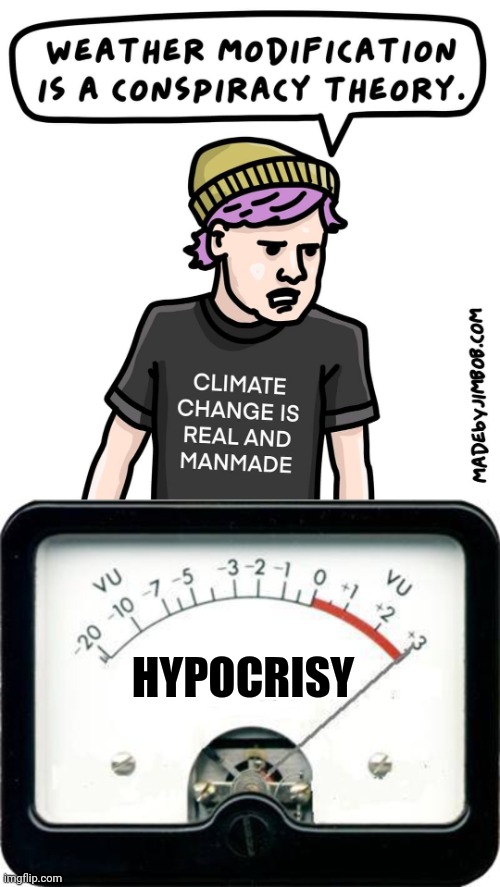 Foolishness | HYPOCRISY | image tagged in irony meter,memes | made w/ Imgflip meme maker