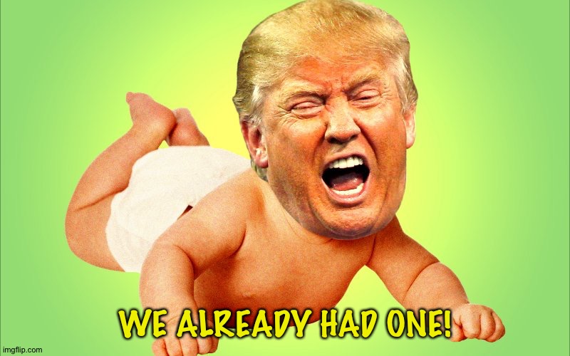 Baby Trump | WE ALREADY HAD ONE! | image tagged in baby trump | made w/ Imgflip meme maker