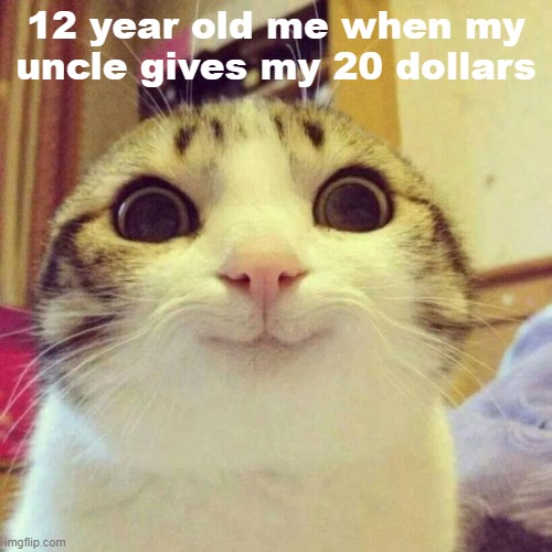 Smiling Cat | 12 year old me when my uncle gives my 20 dollars | image tagged in memes,smiling cat | made w/ Imgflip meme maker