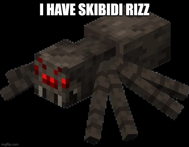 Spider | I HAVE SKIBIDI RIZZ | image tagged in spider | made w/ Imgflip meme maker