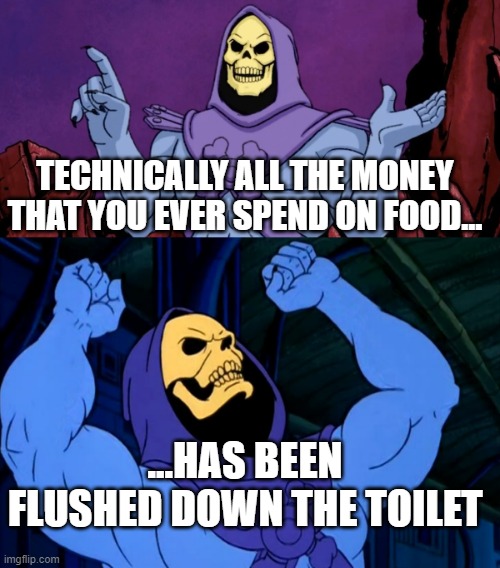 Skeletor talking about food money | TECHNICALLY ALL THE MONEY THAT YOU EVER SPEND ON FOOD... ...HAS BEEN FLUSHED DOWN THE TOILET | image tagged in skeletor,skeletor facts | made w/ Imgflip meme maker