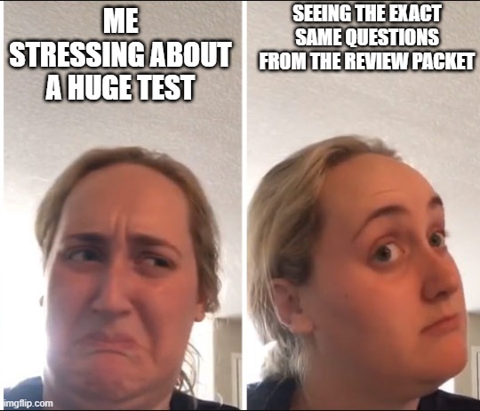 Kombucha Girl | SEEING THE EXACT SAME QUESTIONS FROM THE REVIEW PACKET; ME STRESSING ABOUT A HUGE TEST | image tagged in kombucha girl | made w/ Imgflip meme maker