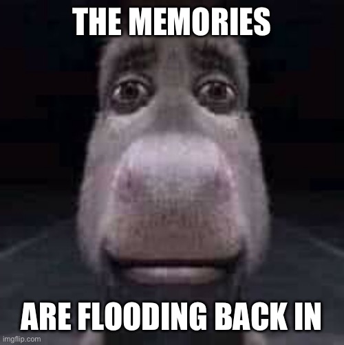 Donkey staring | THE MEMORIES ARE FLOODING BACK IN | image tagged in donkey staring | made w/ Imgflip meme maker