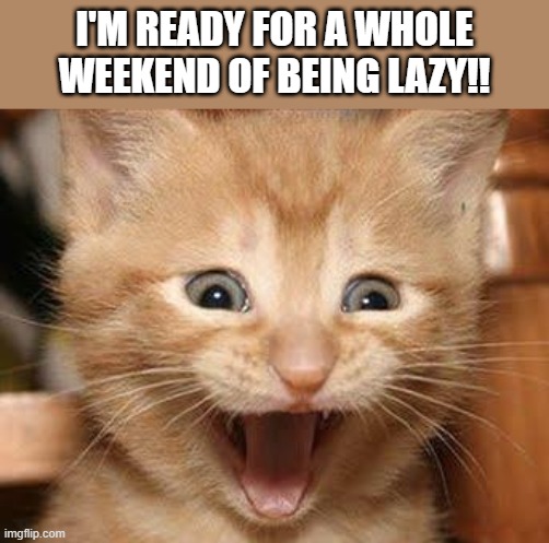 Finally it's Friday | I'M READY FOR A WHOLE WEEKEND OF BEING LAZY!! | image tagged in memes,excited cat | made w/ Imgflip meme maker