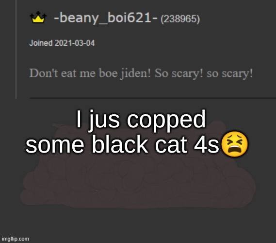 beany | I jus copped some black cat 4s😫 | image tagged in beany | made w/ Imgflip meme maker