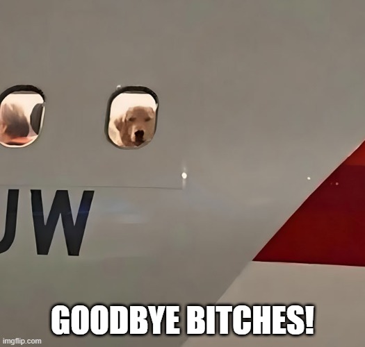 Dog Flight | GOODBYE BITCHES! | image tagged in funny dogs | made w/ Imgflip meme maker