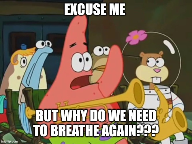 Why do we need to breathe? | EXCUSE ME; BUT WHY DO WE NEED TO BREATHE AGAIN??? | image tagged in is mayonnaise an instrument,jpfan102504,stupid | made w/ Imgflip meme maker