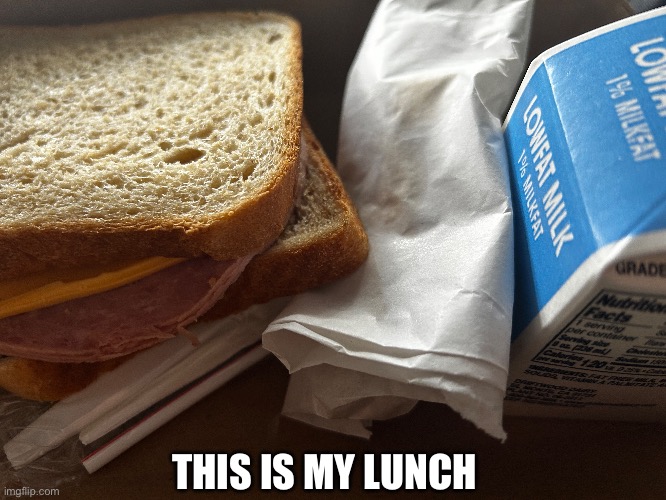 yum? | THIS IS MY LUNCH | image tagged in school | made w/ Imgflip meme maker