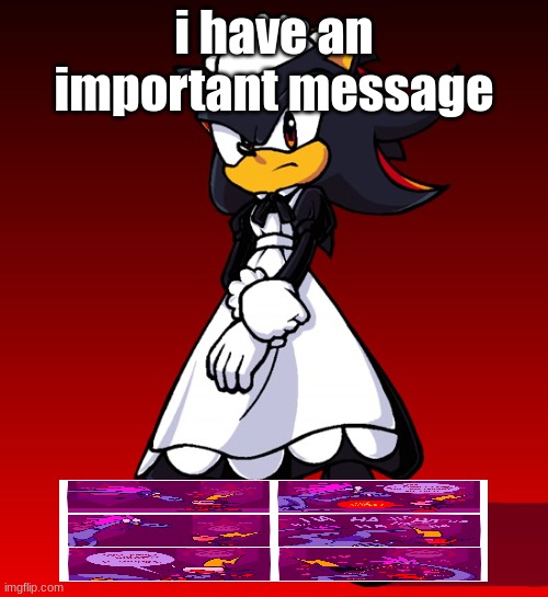 Maid Shadow | i have an important message | image tagged in maid shadow | made w/ Imgflip meme maker