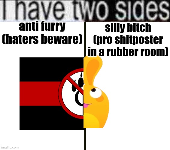 a | anti furry (haters beware); silly bitch (pro shitposter in a rubber room) | image tagged in i have two sides | made w/ Imgflip meme maker
