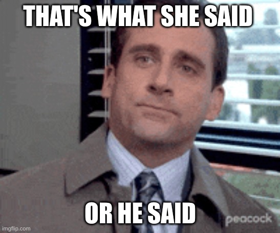 THAT'S WHAT SHE SAID; OR HE SAID | image tagged in but thats none of my business | made w/ Imgflip meme maker