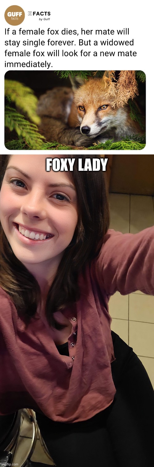 Foxy Lady | FOXY LADY | image tagged in milf,fox,foxy,lady | made w/ Imgflip meme maker