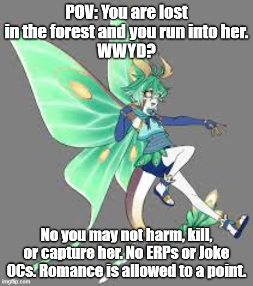 No joke OCs or ERPs please! No you may not kill her. | POV: You are lost in the forest and you run into her.
WWYD? No you may not harm, kill, or capture her. No ERPs or Joke OCs. Romance is allowed to a point. | made w/ Imgflip meme maker