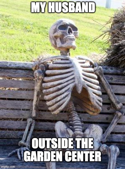 At the Garden Center. | MY HUSBAND; OUTSIDE THE GARDEN CENTER | image tagged in memes,waiting skeleton | made w/ Imgflip meme maker