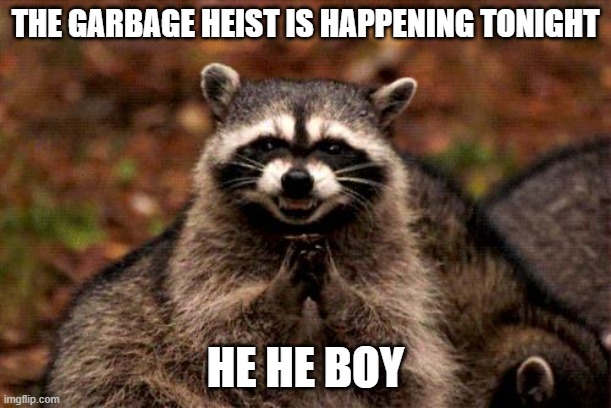 Evil Plotting Raccoon | THE GARBAGE HEIST IS HAPPENING TONIGHT; HE HE BOY | image tagged in memes,evil plotting raccoon | made w/ Imgflip meme maker