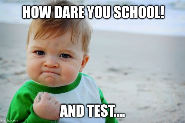 More summer less school | HOW DARE YOU SCHOOL! AND TEST.... | image tagged in memes,success kid original | made w/ Imgflip meme maker