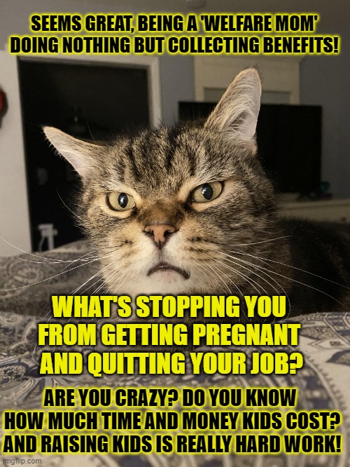 This #lolcat wonders why some are jeaulous of welfare moms | SEEMS GREAT, BEING A 'WELFARE MOM'

DOING NOTHING BUT COLLECTING BENEFITS! WHAT'S STOPPING YOU 
FROM GETTING PREGNANT 
AND QUITTING YOUR JOB? ARE YOU CRAZY? DO YOU KNOW 
HOW MUCH TIME AND MONEY KIDS COST?
AND RAISING KIDS IS REALLY HARD WORK! | image tagged in welfare,stupid people,think about it,lolcat | made w/ Imgflip meme maker