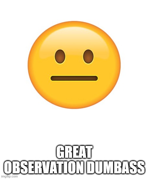 Straight Face | GREAT OBSERVATION DUMBASS | image tagged in straight face | made w/ Imgflip meme maker