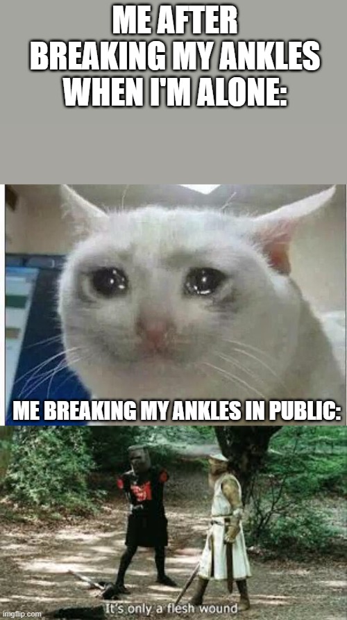 How does this work!? | ME AFTER BREAKING MY ANKLES WHEN I'M ALONE:; ME BREAKING MY ANKLES IN PUBLIC: | image tagged in crying cat,it's just a flesh wound | made w/ Imgflip meme maker