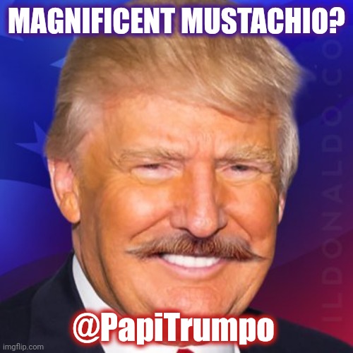 Mustacio Magnificance? The Don Juan Won. #TRUMPWON | MAGNIFICENT MUSTACHIO? @PapiTrumpo | image tagged in papi trumpo,mustache,potus,winning,game over,the great awakening | made w/ Imgflip meme maker