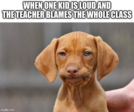 Dissapointed puppy | WHEN ONE KID IS LOUD AND THE TEACHER BLAMES THE WHOLE CLASS | image tagged in dissapointed puppy | made w/ Imgflip meme maker