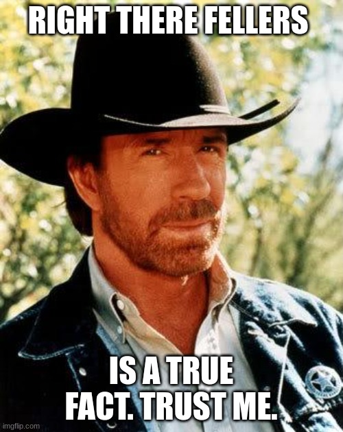 Chuck Norris Meme | RIGHT THERE FELLERS IS A TRUE FACT. TRUST ME. | image tagged in memes,chuck norris | made w/ Imgflip meme maker