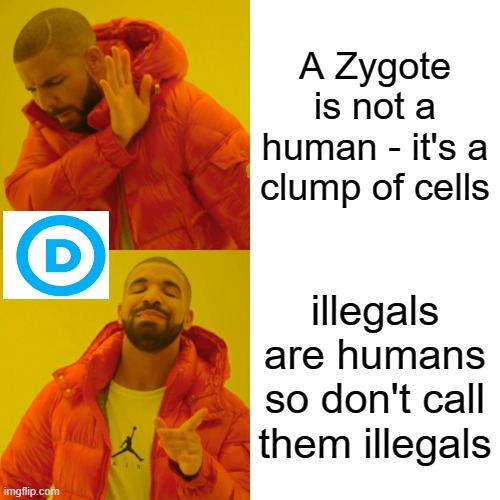 Drake Hotline Bling | A Zygote is not a human - it's a clump of cells; illegals are humans so don't call them illegals | image tagged in memes,drake hotline bling | made w/ Imgflip meme maker