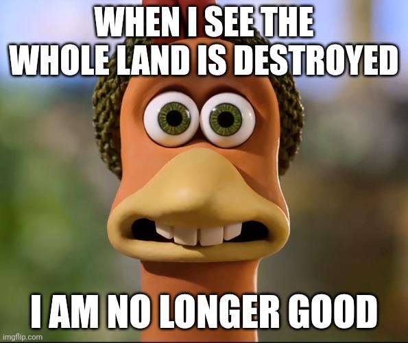 Chicken land destroyed | WHEN I SEE THE WHOLE LAND IS DESTROYED; I AM NO LONGER GOOD | image tagged in ginger worried | made w/ Imgflip meme maker