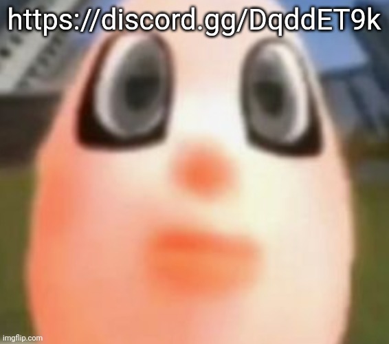 https://discord.gg/DqddET9k | https://discord.gg/DqddET9k | image tagged in bridgette's stare | made w/ Imgflip meme maker