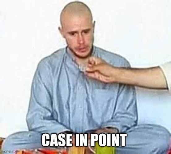 Bo Bergdahl Reek | CASE IN POINT | image tagged in bo bergdahl reek | made w/ Imgflip meme maker