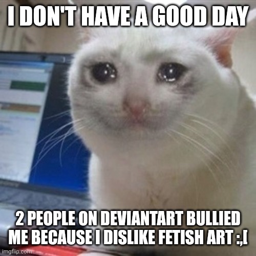 Pls make my day better :,( | I DON'T HAVE A GOOD DAY; 2 PEOPLE ON DEVIANTART BULLIED ME BECAUSE I DISLIKE FETISH ART :,[ | image tagged in crying cat,pain,deviantart,sad,bullies,painful | made w/ Imgflip meme maker