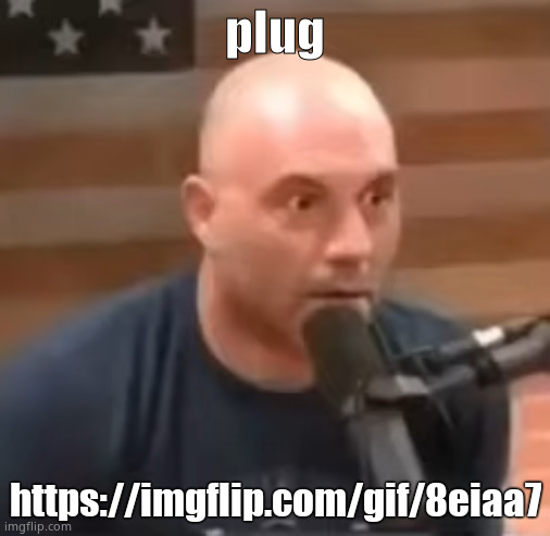 Joe Rogan Staring | plug; https://imgflip.com/gif/8eiaa7 | image tagged in joe rogan staring | made w/ Imgflip meme maker