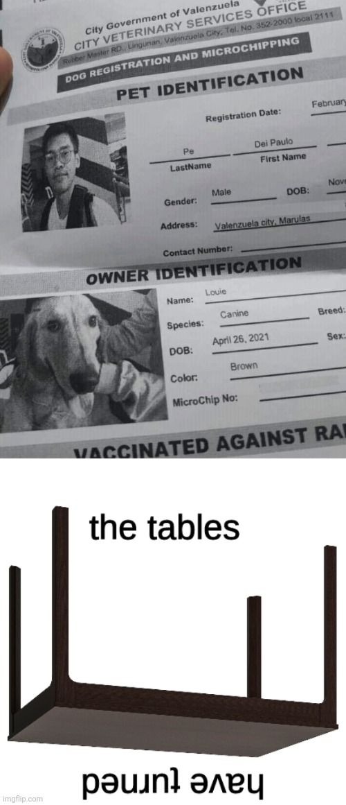 Identification switcheroos | image tagged in the tables have turned,pet,owner,identification,you had one job,memes | made w/ Imgflip meme maker
