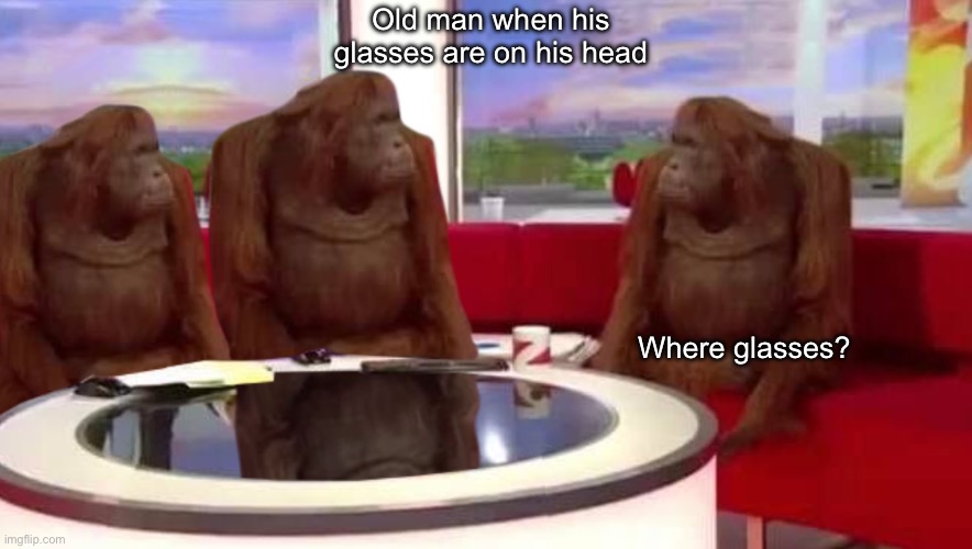 Old | Old man when his glasses are on his head; Where glasses? | image tagged in where monkey,lol so funny,memes,monkey | made w/ Imgflip meme maker