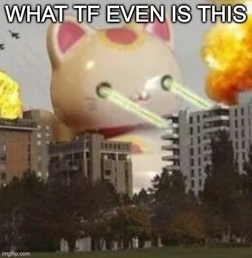 WHAT TF EVEN IS THIS | made w/ Imgflip meme maker