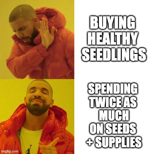 Why buy perfectly healthy plants when you could spend twice as much money to grow sad, spindly versions yourself? | BUYING 
HEALTHY 
SEEDLINGS; SPENDING 
TWICE AS 
MUCH
ON SEEDS 
+ SUPPLIES | image tagged in drake blank | made w/ Imgflip meme maker