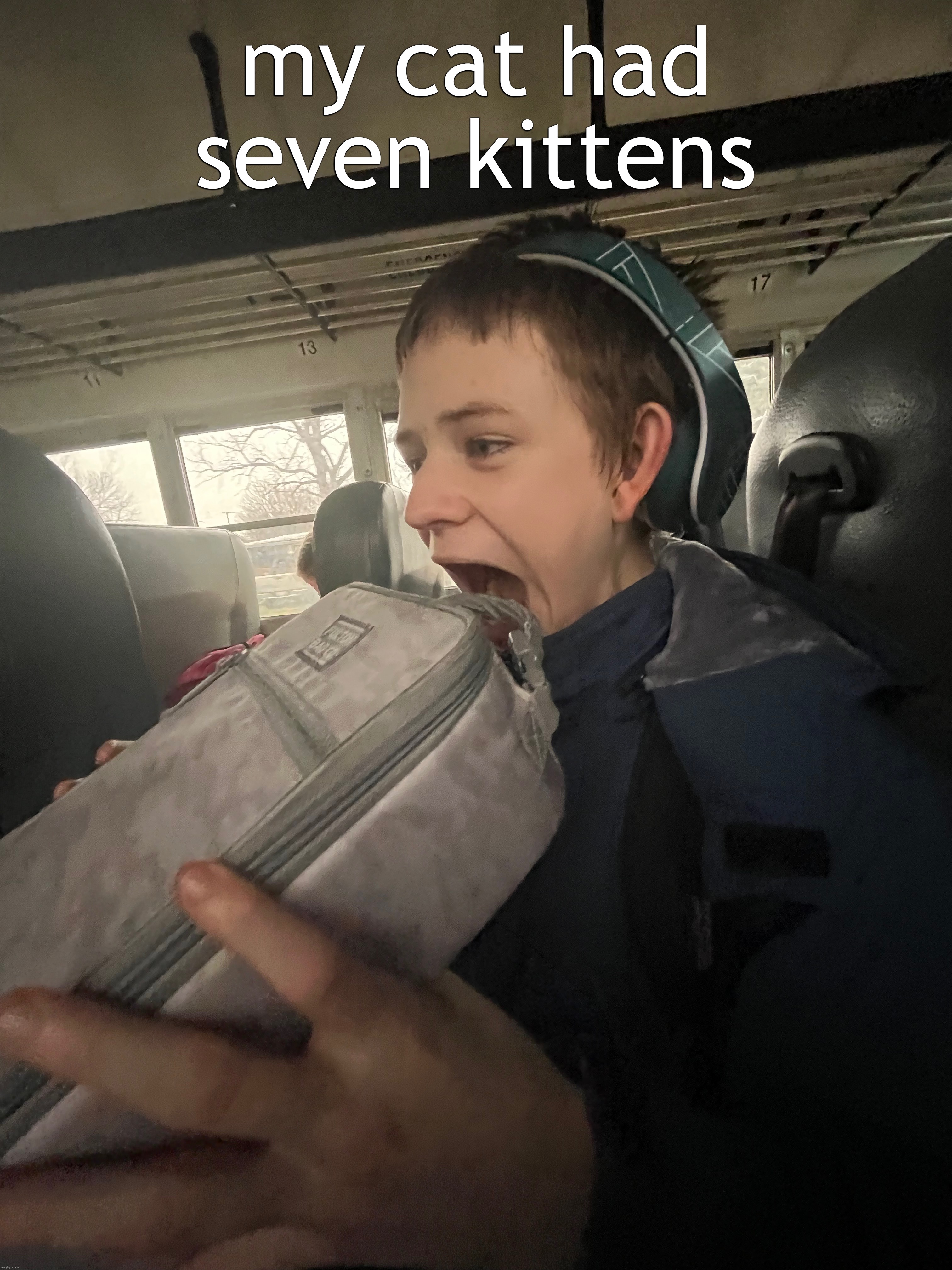 my cat had seven kittens | made w/ Imgflip meme maker