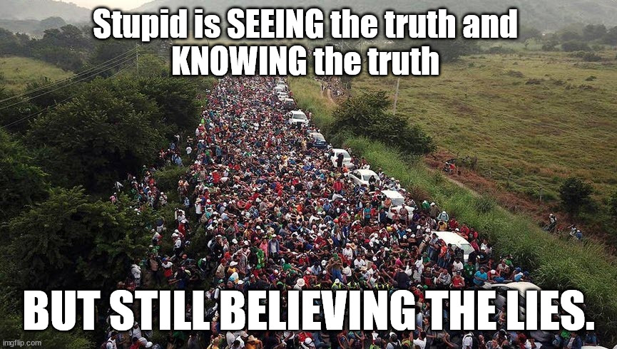 Crowds of illegal immigrants are coming to your town.  Believe that. | Stupid is SEEING the truth and 
KNOWING the truth; BUT STILL BELIEVING THE LIES. | image tagged in unsustainable,illegal immigration | made w/ Imgflip meme maker