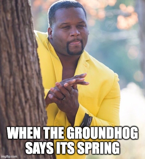 When the groundhog says its spring | WHEN THE GROUNDHOG SAYS ITS SPRING | image tagged in black guy hiding behind tree | made w/ Imgflip meme maker