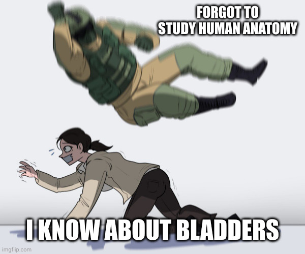 soldier attack | FORGOT TO STUDY HUMAN ANATOMY I KNOW ABOUT BLADDERS | image tagged in soldier attack | made w/ Imgflip meme maker