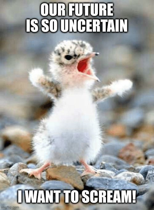 Uncertain future, youth rage | OUR FUTURE IS SO UNCERTAIN; I WANT TO SCREAM! | image tagged in angry baby seagull,apocalypse now,future,memes,youth,rage | made w/ Imgflip meme maker