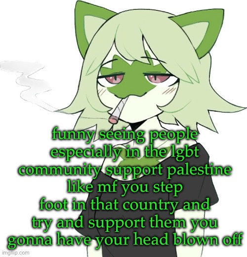 idc about either country, they not my problem | funny seeing people especially in the lgbt community support palestine
like mf you step foot in that country and try and support them you gonna have your head blown off | image tagged in weed cat | made w/ Imgflip meme maker