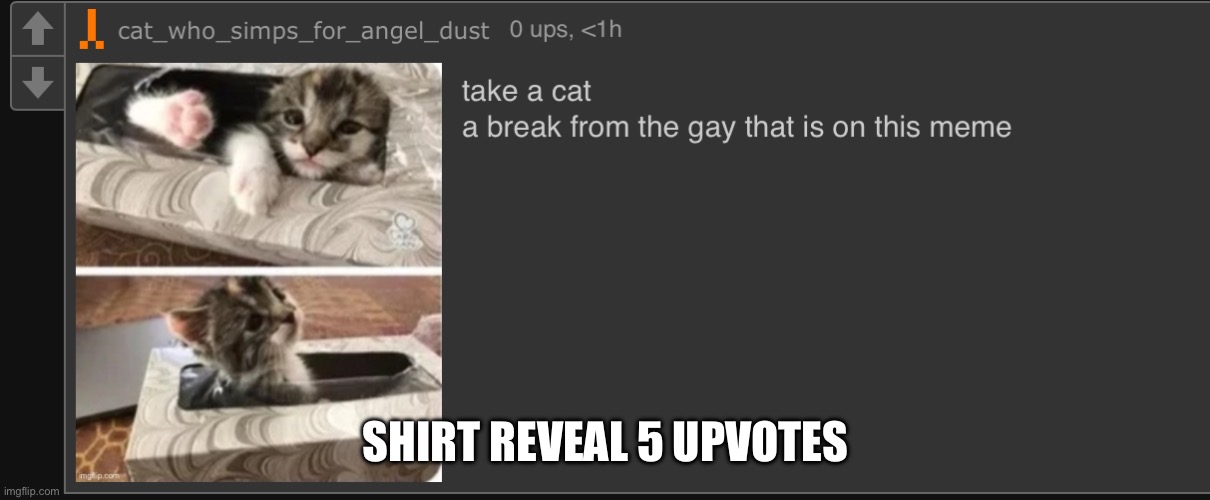 take a cat | SHIRT REVEAL 5 UPVOTES | image tagged in take a cat | made w/ Imgflip meme maker