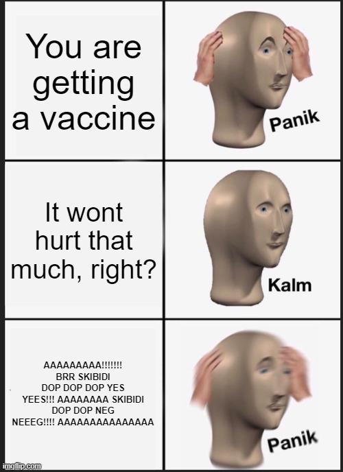skibidi vaccine | You are getting a vaccine; It wont hurt that much, right? AAAAAAAAA!!!!!!! BRR SKIBIDI DOP DOP DOP YES YEES!!! AAAAAAAA SKIBIDI DOP DOP NEG NEEEG!!!! AAAAAAAAAAAAAAA | image tagged in memes,panik kalm panik | made w/ Imgflip meme maker