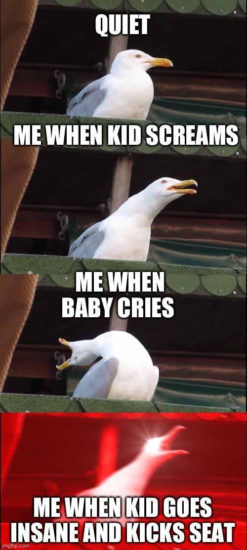 Assy kid be like | QUIET; ME WHEN KID SCREAMS; ME WHEN BABY CRIES; ME WHEN KID GOES INSANE AND KICKS SEAT | image tagged in memes,inhaling seagull | made w/ Imgflip meme maker