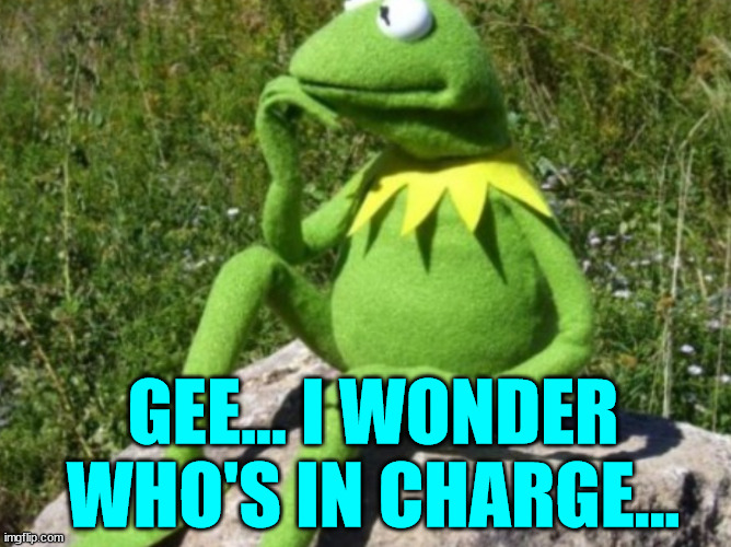 Some times I wonder | GEE... I WONDER WHO'S IN CHARGE... | image tagged in some times i wonder | made w/ Imgflip meme maker