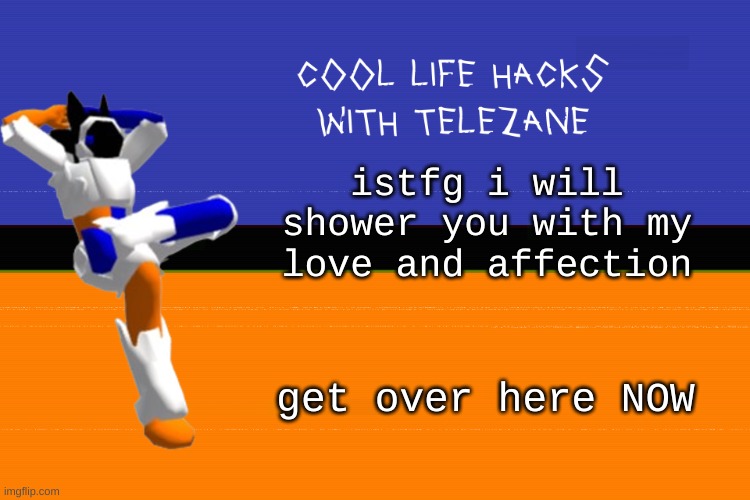 you get my love whether you want it or not >:D | istfg i will shower you with my love and affection; get over here NOW | image tagged in cool life hacks with telezane | made w/ Imgflip meme maker
