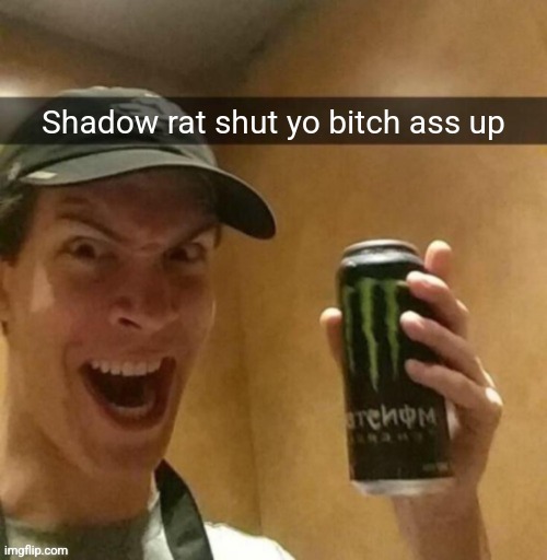 Majik kill guy temp | Shadow rat shut yo bitch ass up | image tagged in majik kill guy temp | made w/ Imgflip meme maker